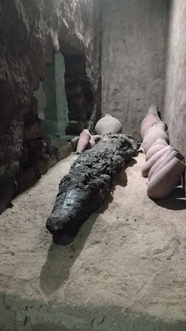 Sobek Statues and Sarcophagi