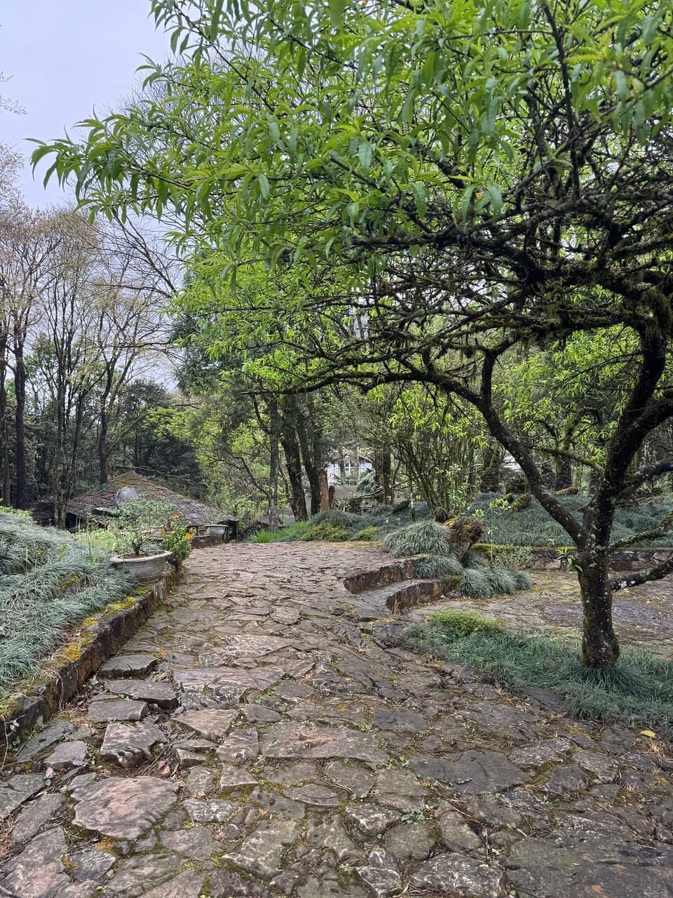 Orchid & Flower Gardens