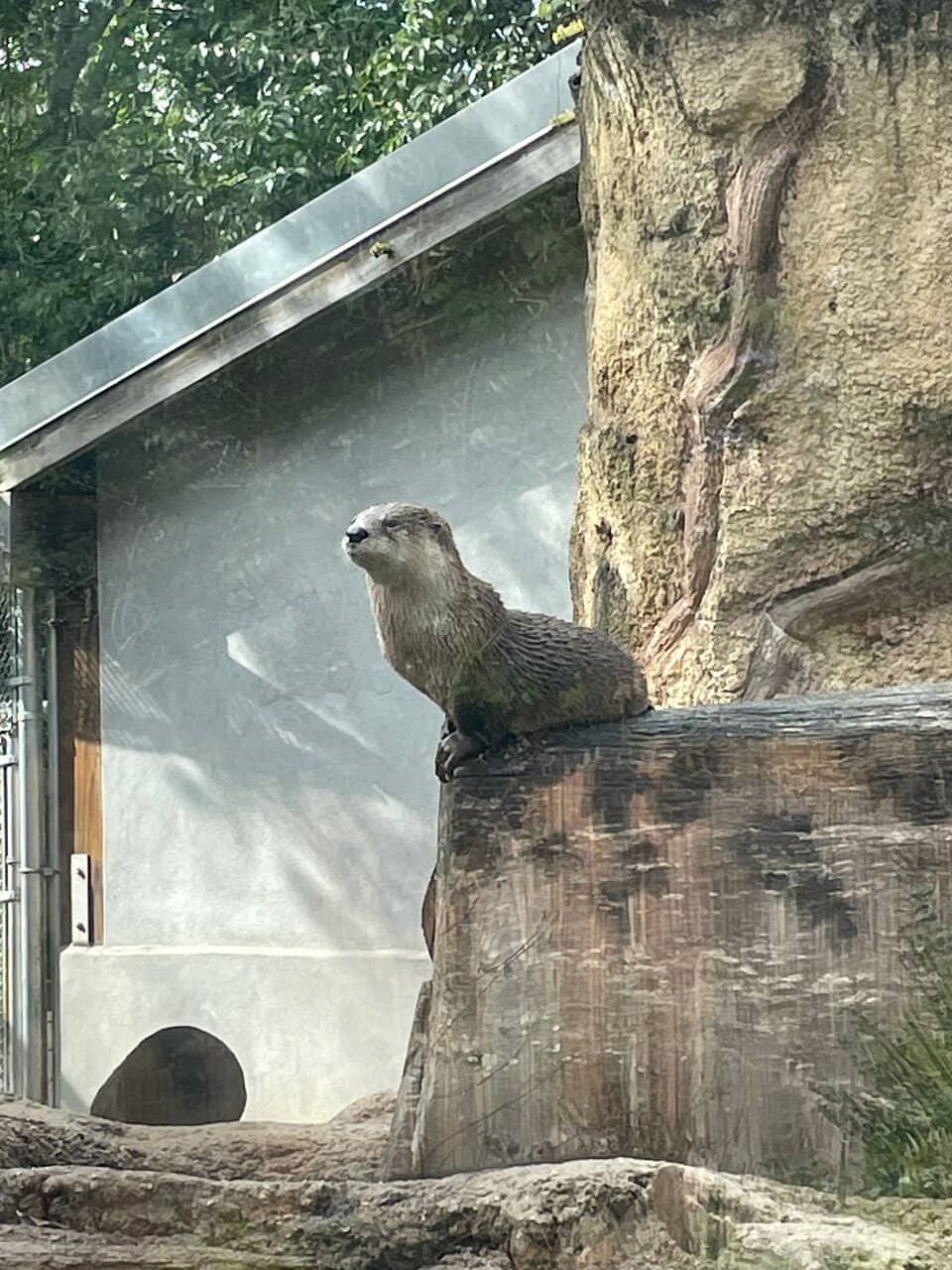 Historic Legare Waring House