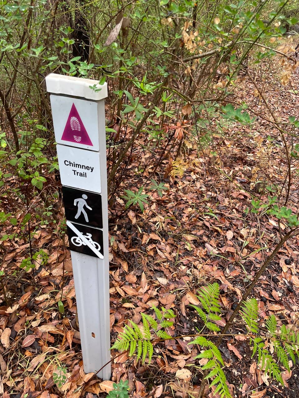 Mountain Bike Trails