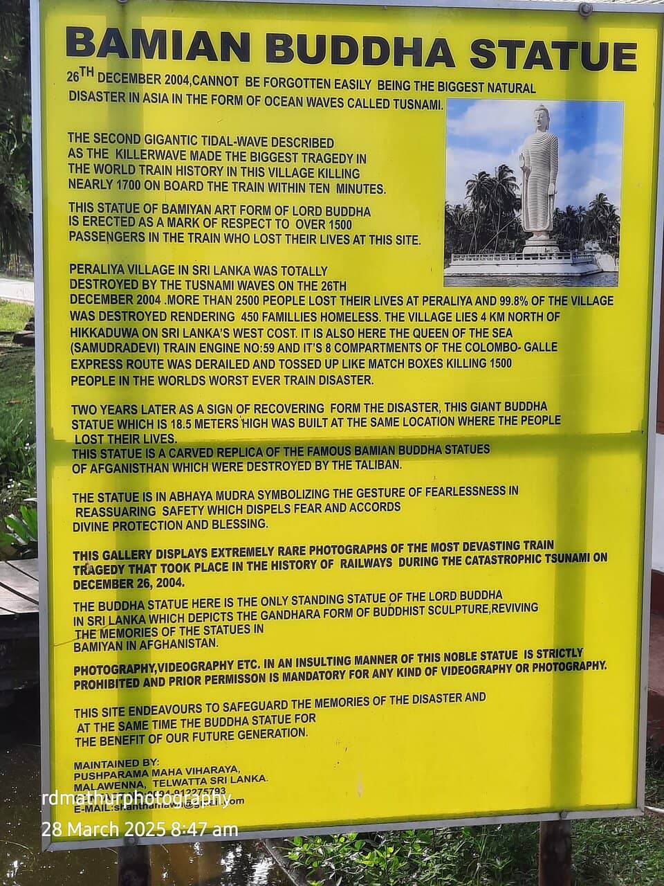 Tsunami Photo Gallery