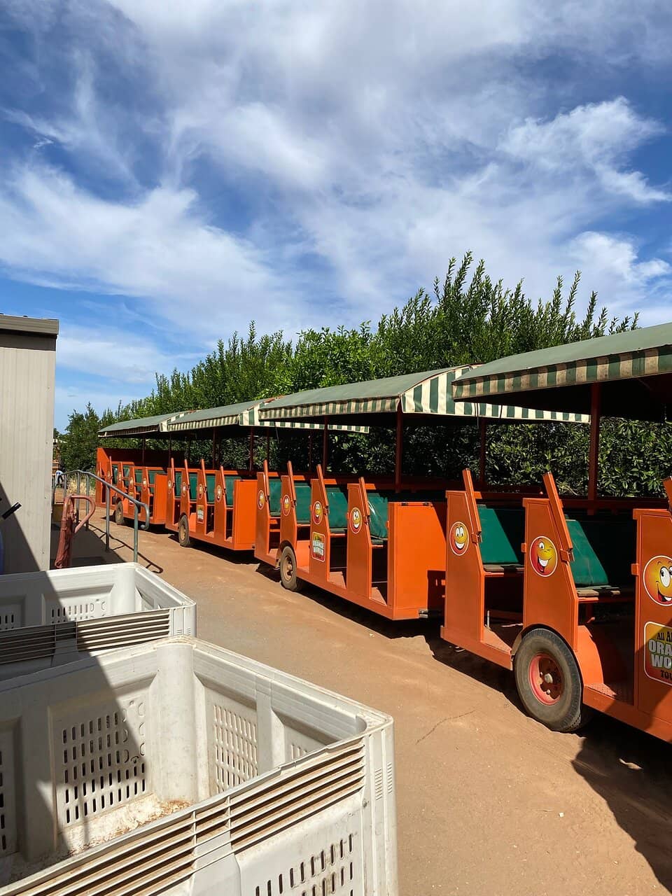 Freshly Squeezed Juice