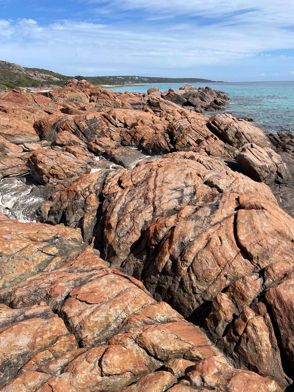 Vibrant Rocky Shoreline