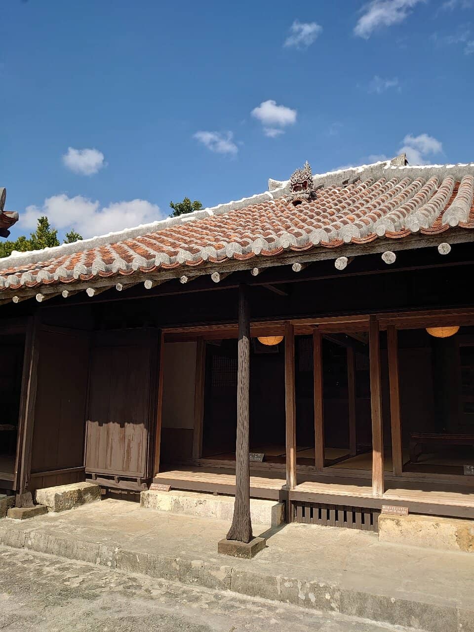 Courtyard and Fukugi Trees