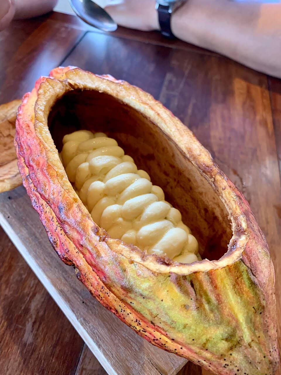 Creative & Harmonious Flavors