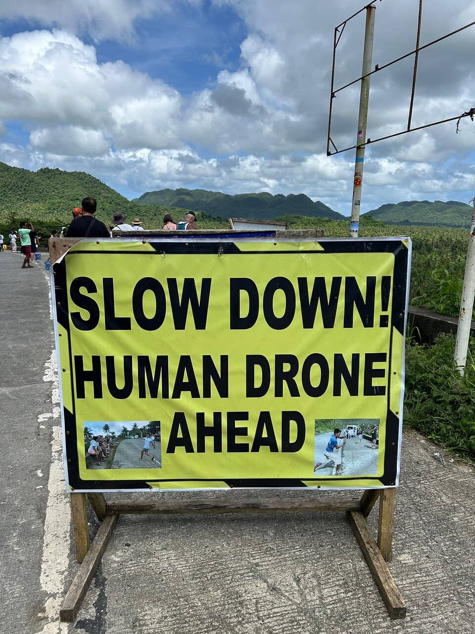 Endless Coconut Palm Tunnel