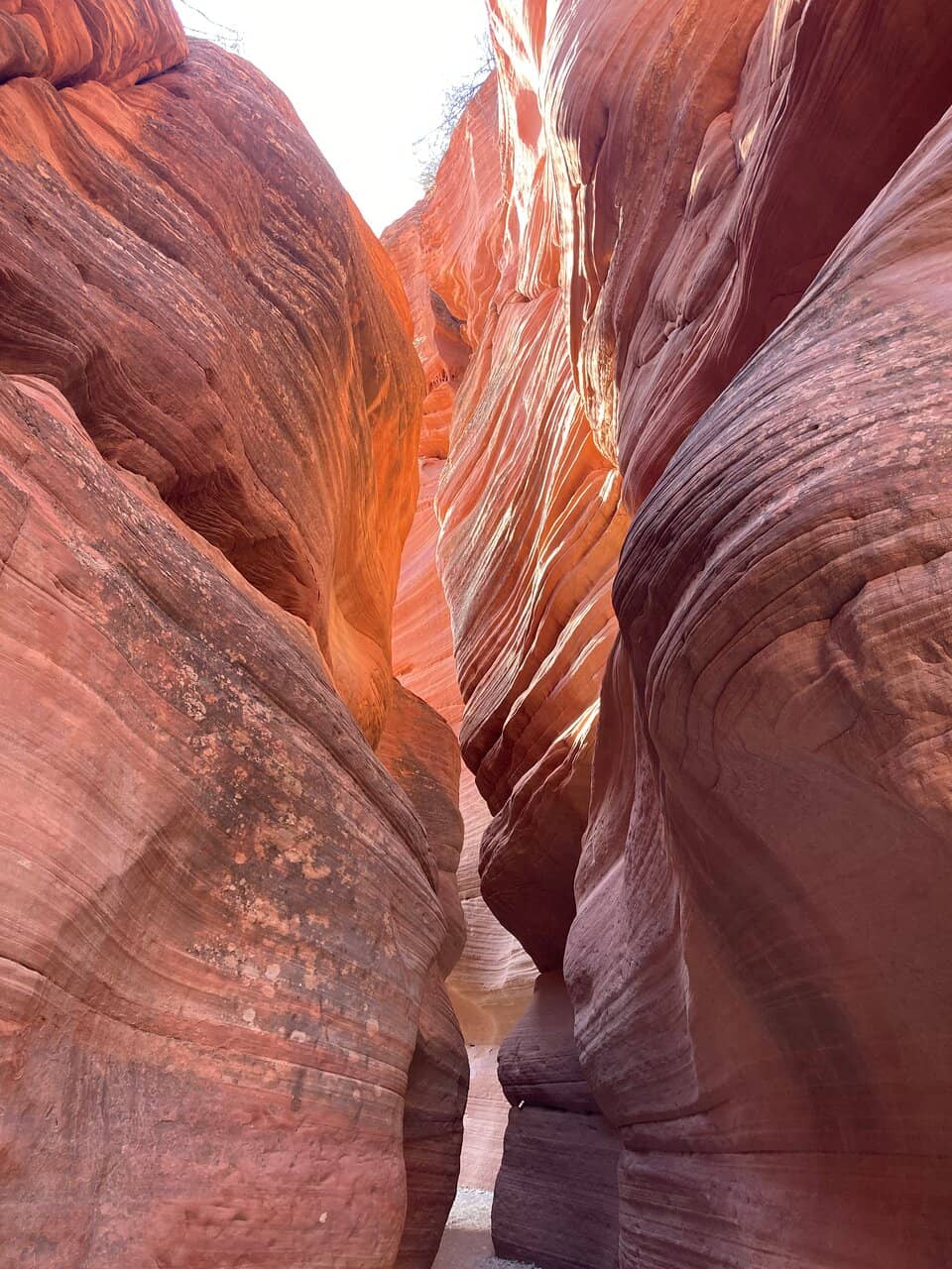 Wire Pass Slot Canyon