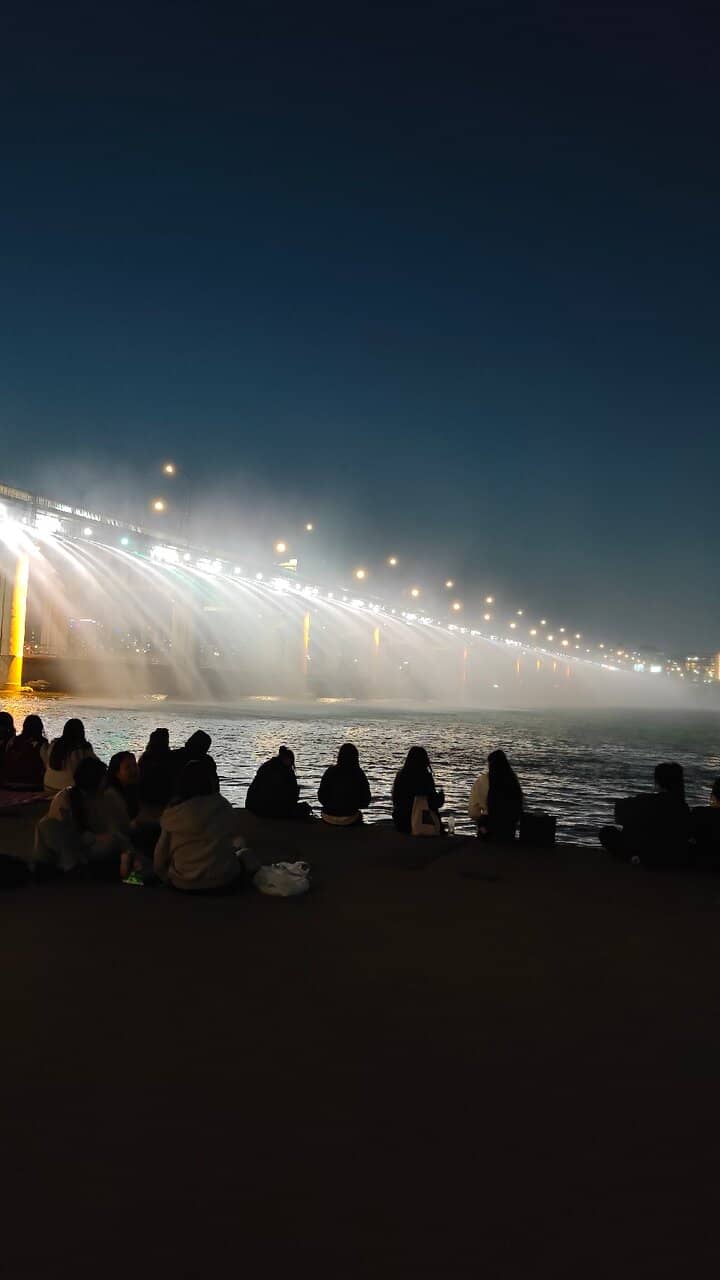 Han River Park Picnic