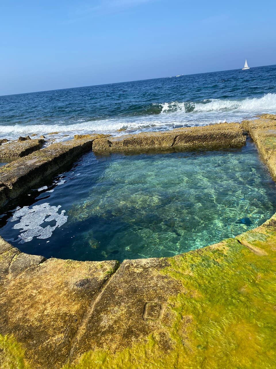 Marine Life Encounters