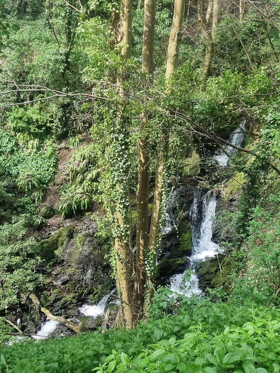 Surprise Village Location