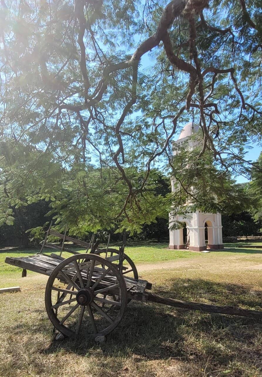 Slave Housing Remains