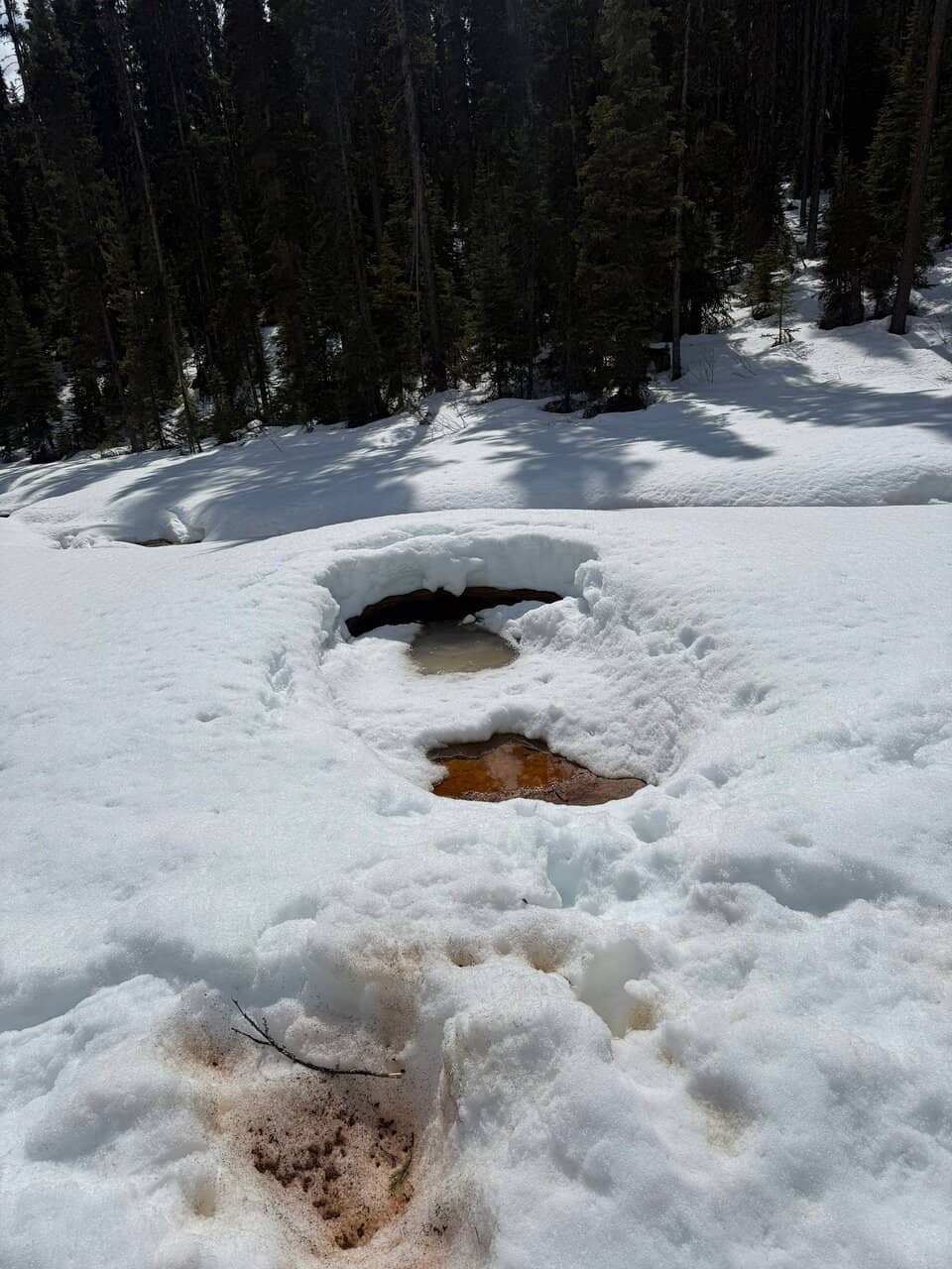 Scenic Boardwalk Trail