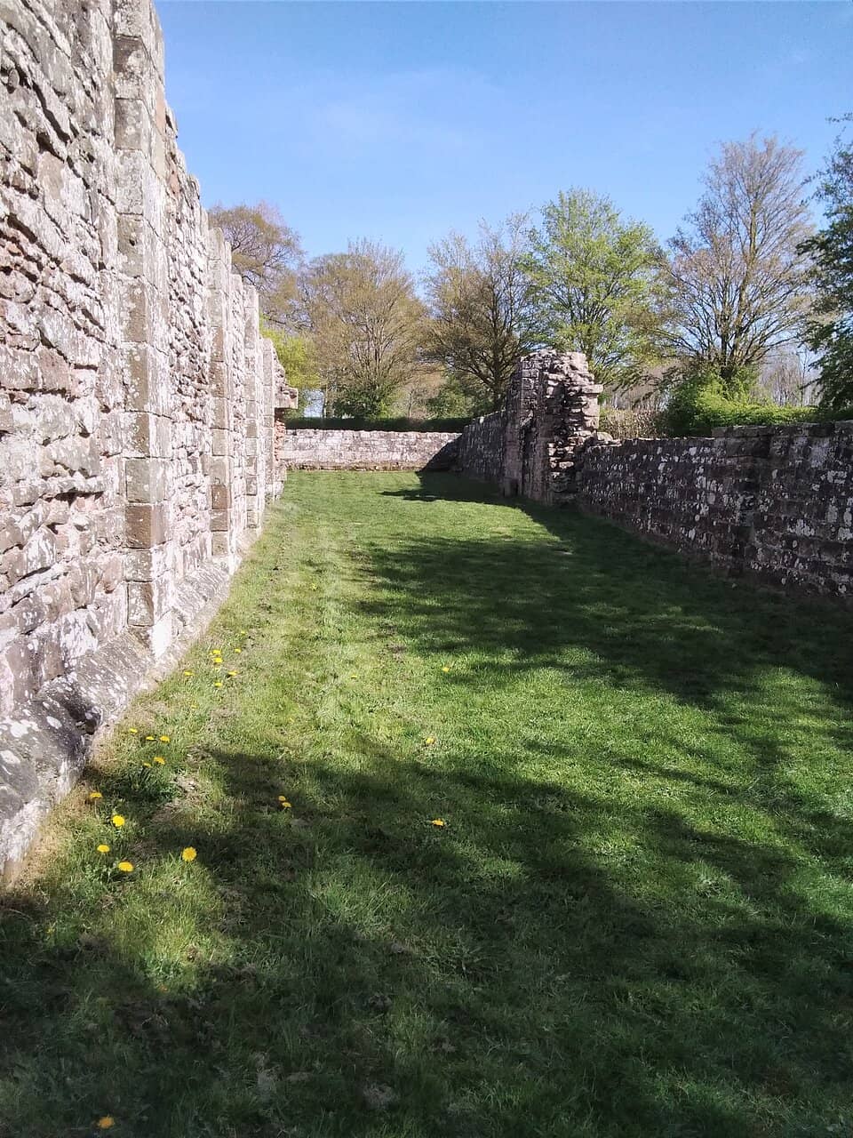 Heritage Farm Animals