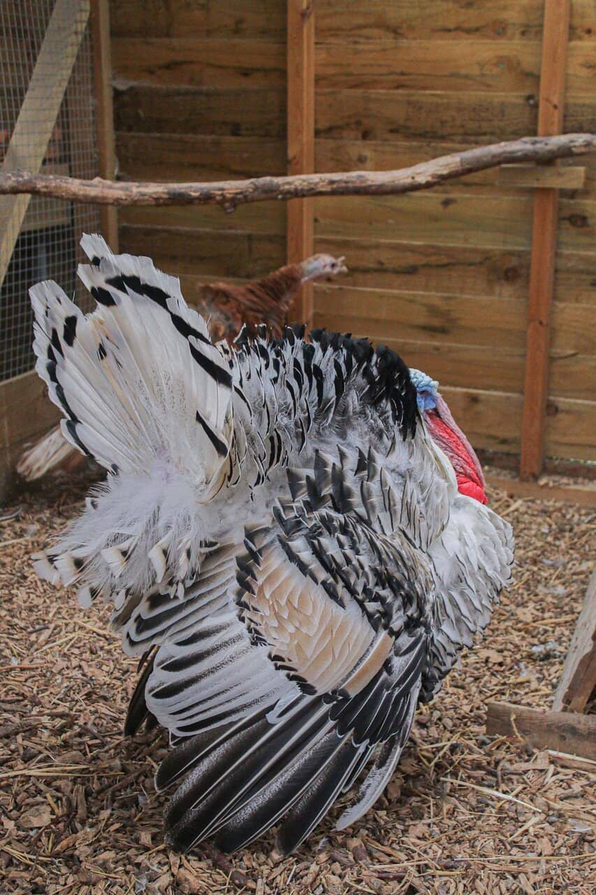 Scenic Trails and Pond