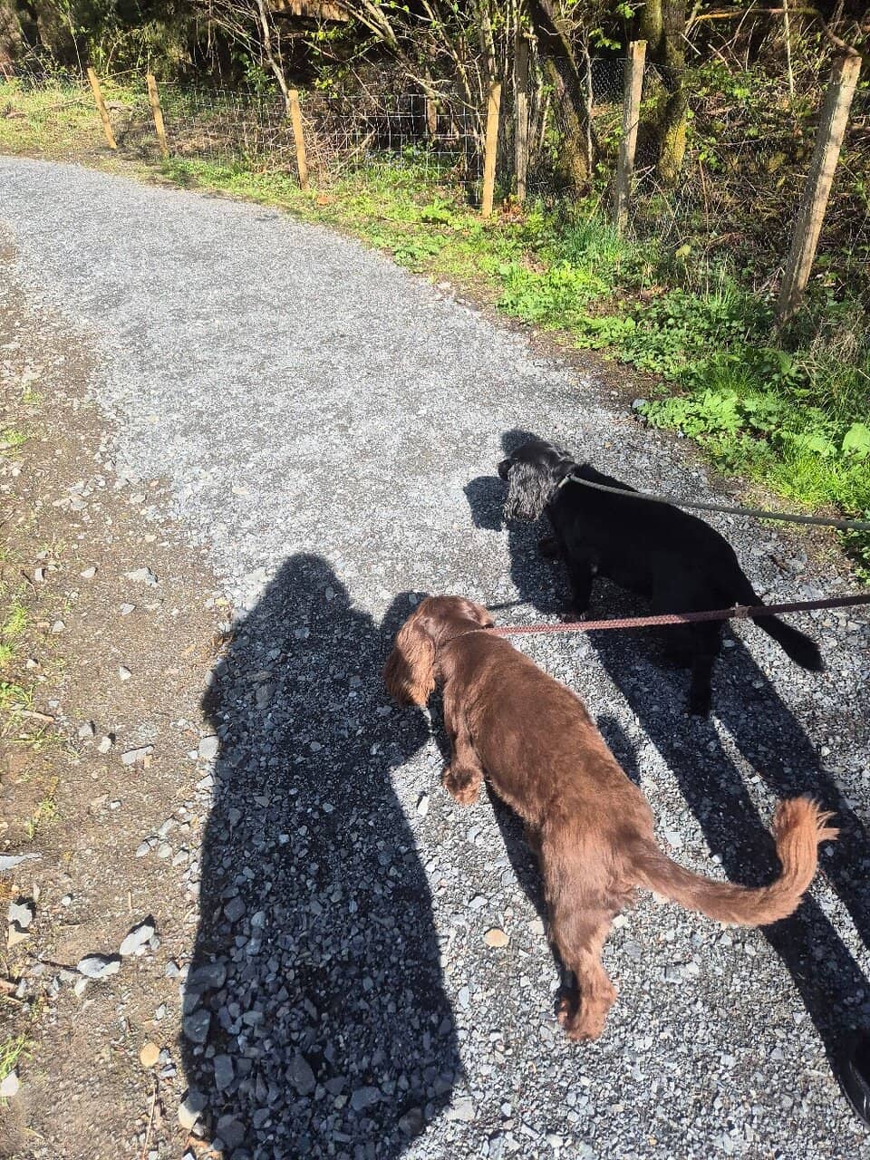 Lochside Walking Trails