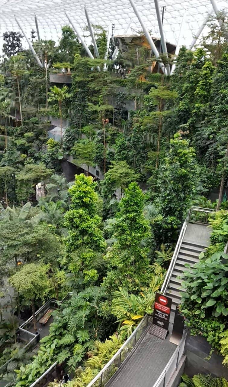 Shiseido Forest Valley