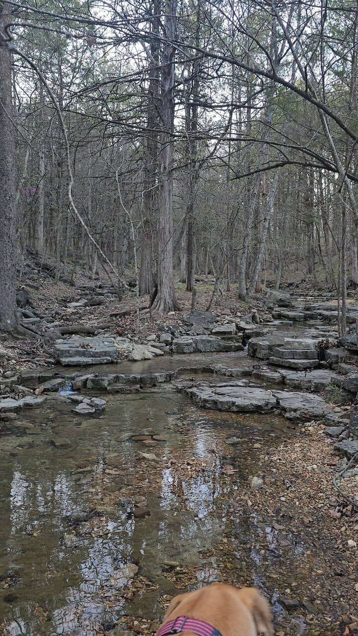 Diverse Trail Network