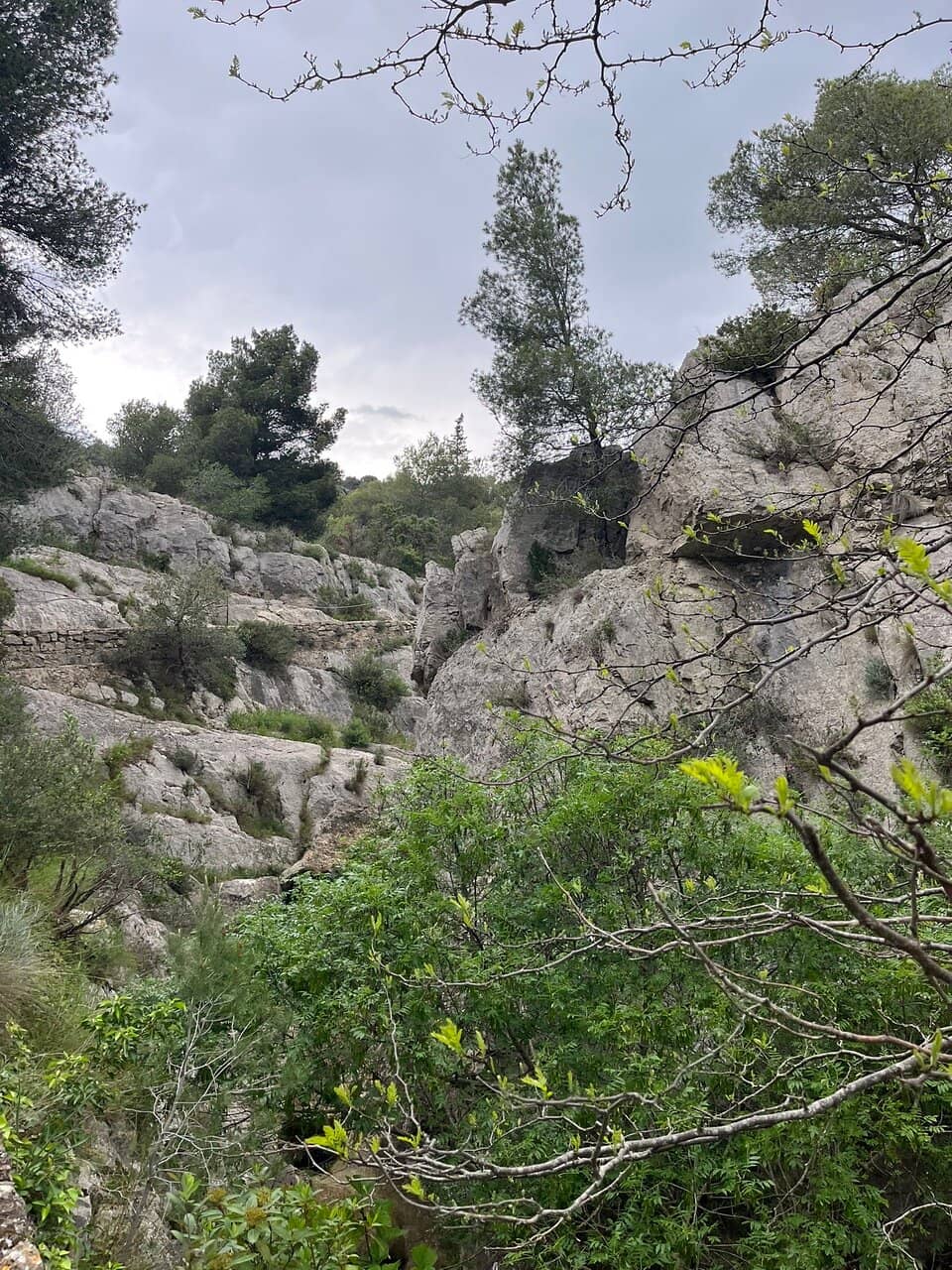 Interconnected Hiking Trails