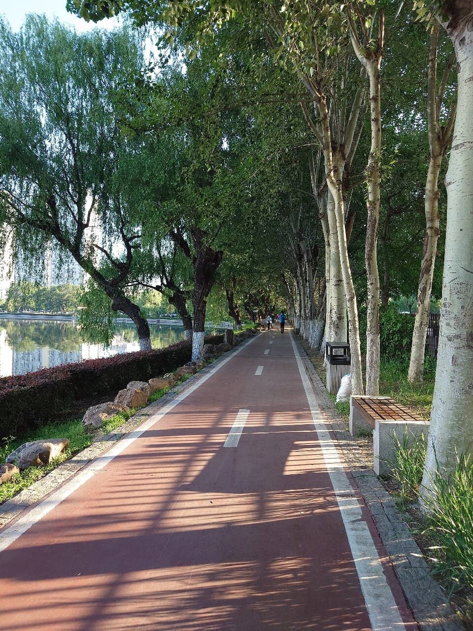 Vibrant Local Atmosphere