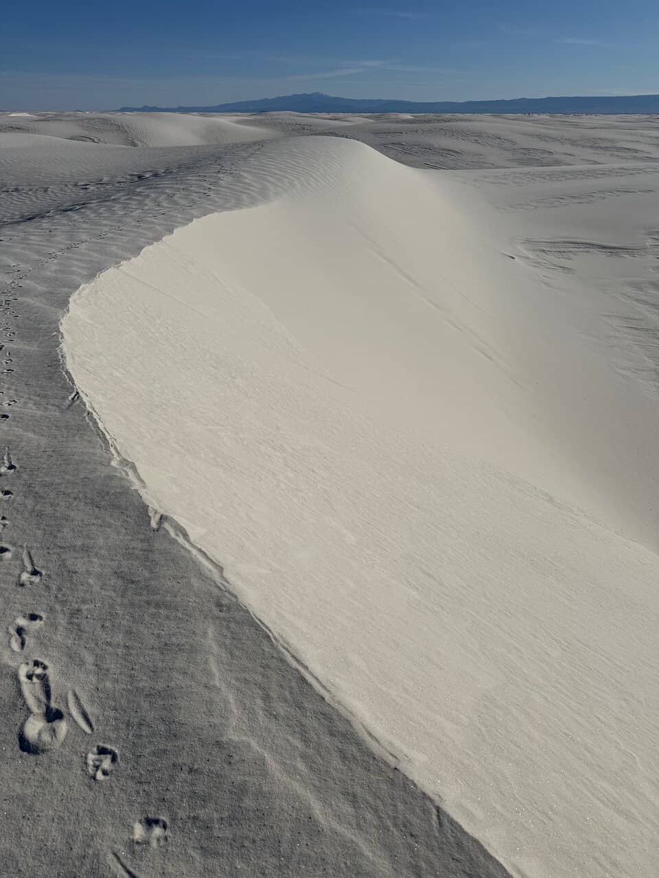Panoramic Desert Vistas