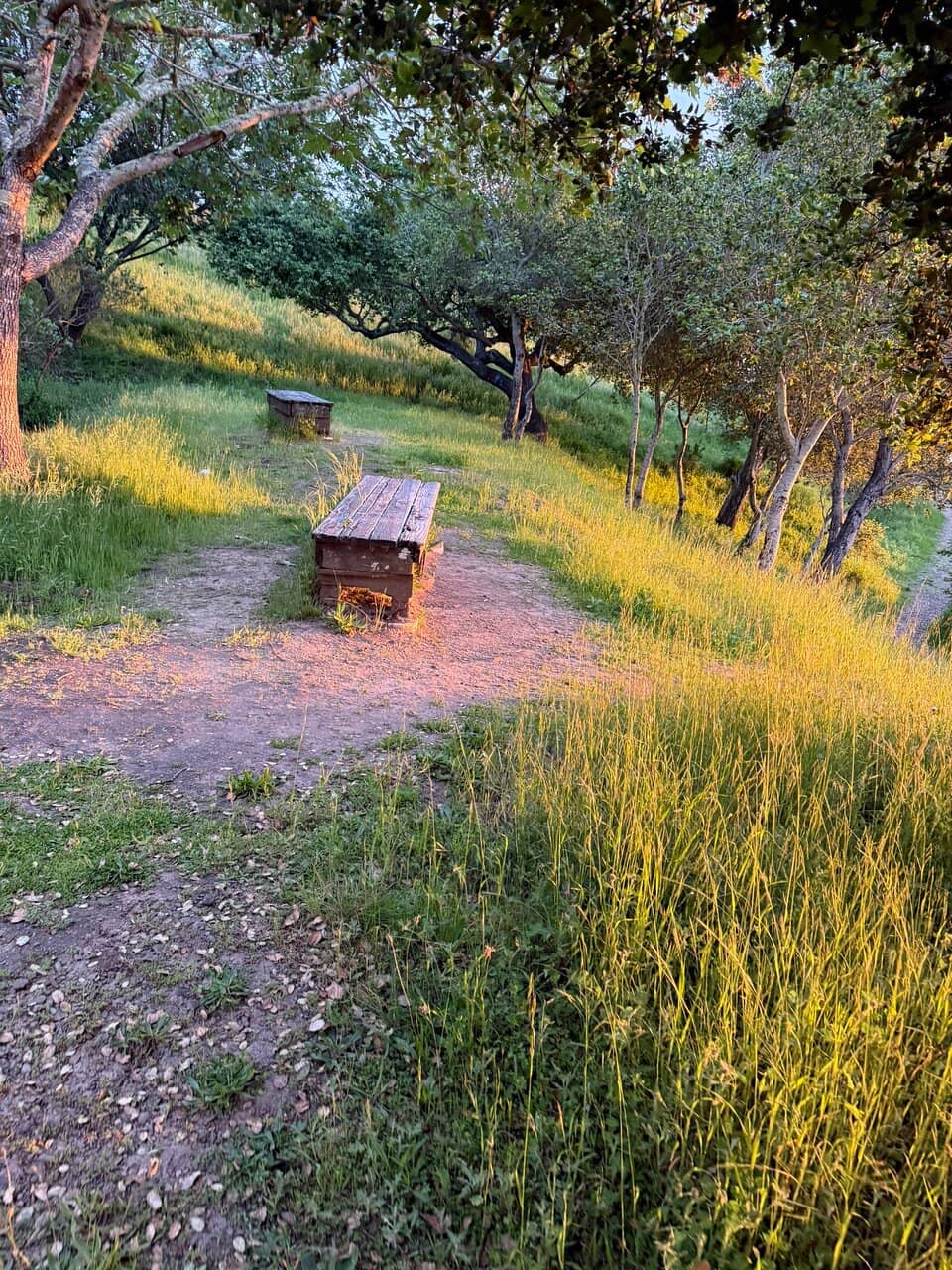 San Pablo Dam Reservoir