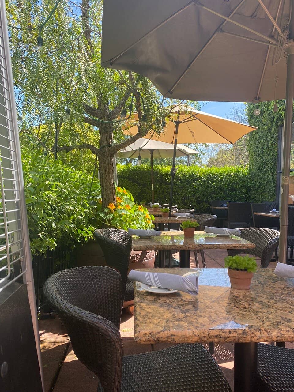 Exquisite Seafood Dishes