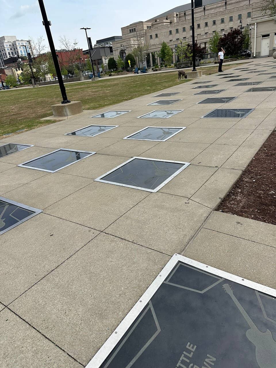 Elvis Presley's Star