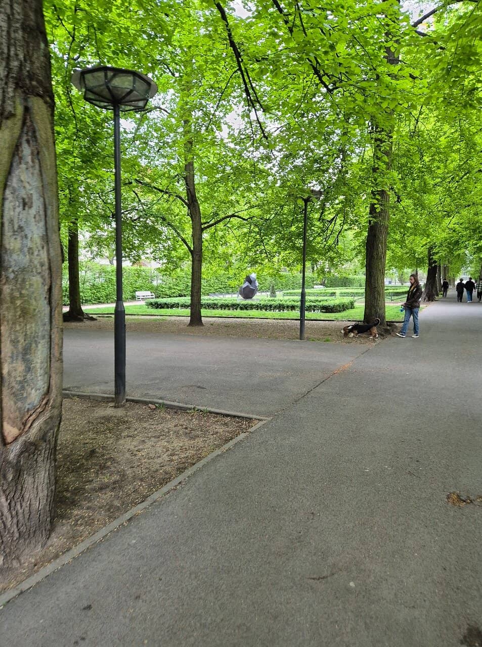 Water Features & Gardens