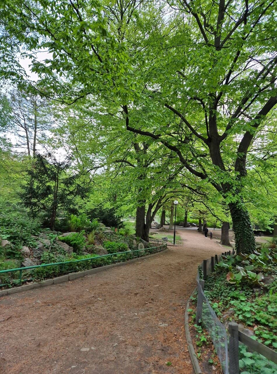 President Wilson Bust