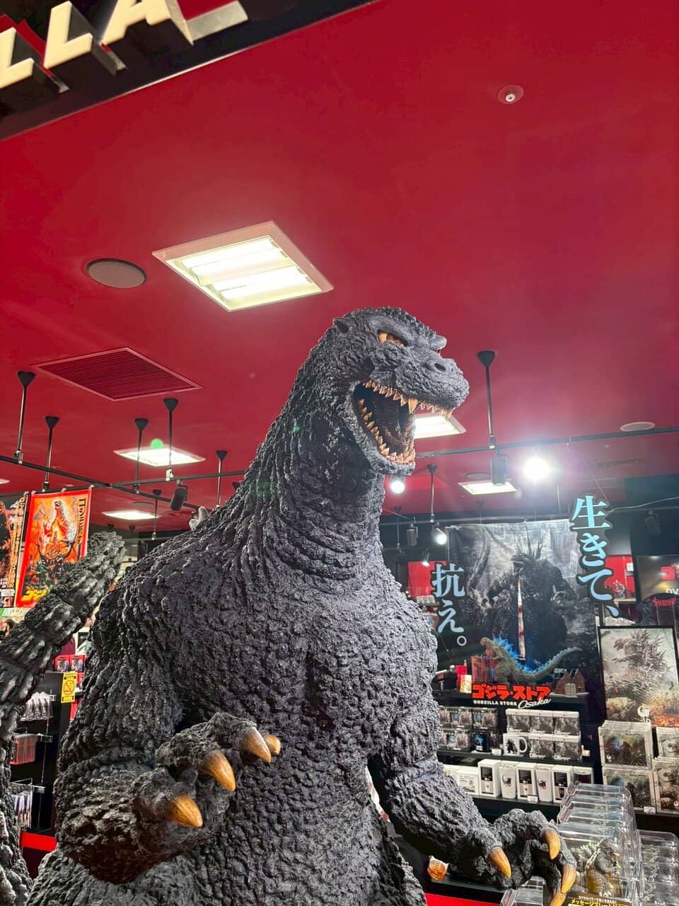 Studio Ghibli Donguri Republic