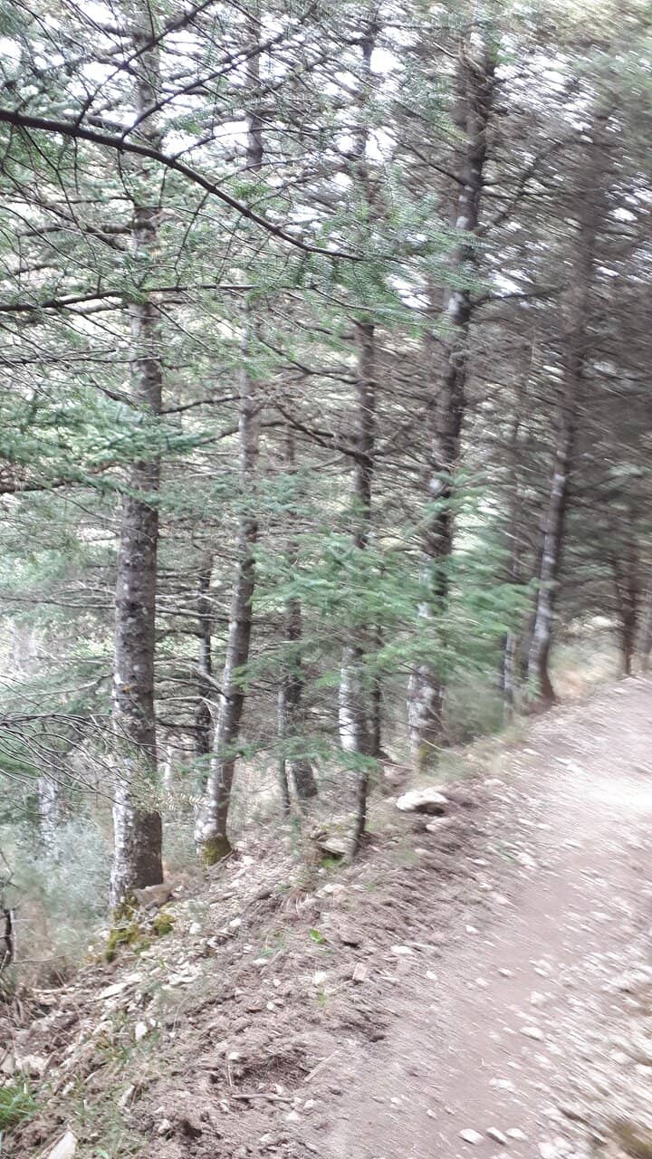 Vertical photo