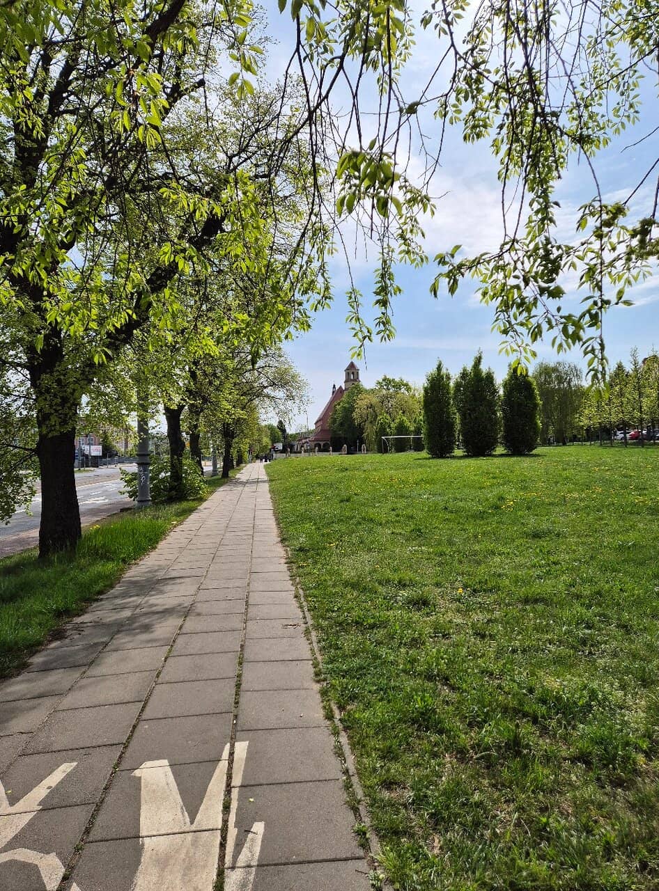 Ample Benches and Paths