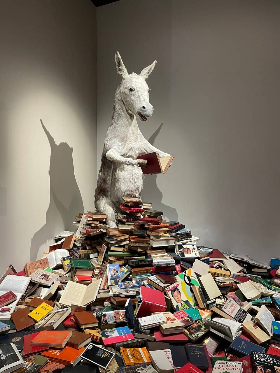 Damien Deroubaix's Art