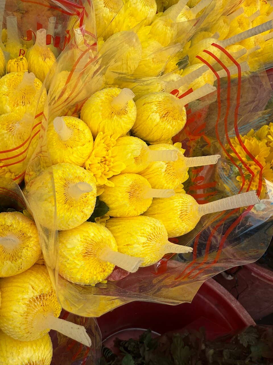 Street Food Delights