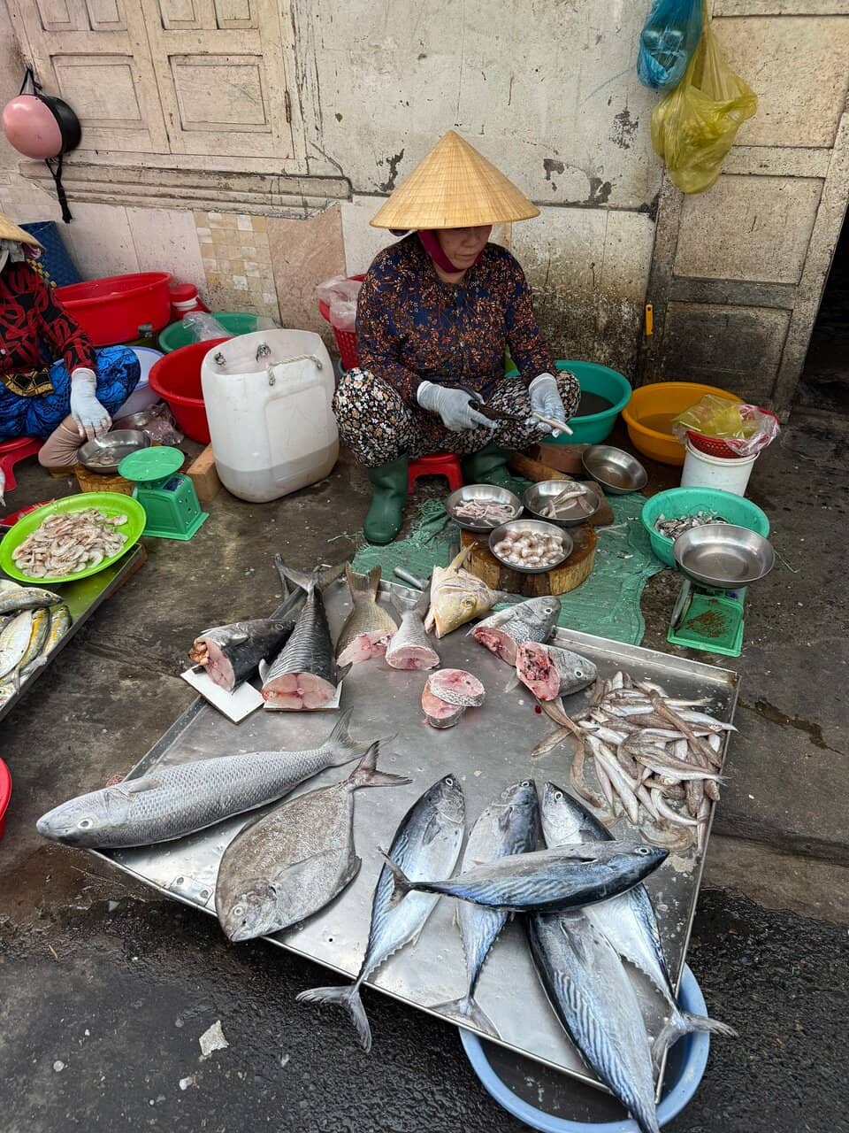 Fresh Seafood Galore