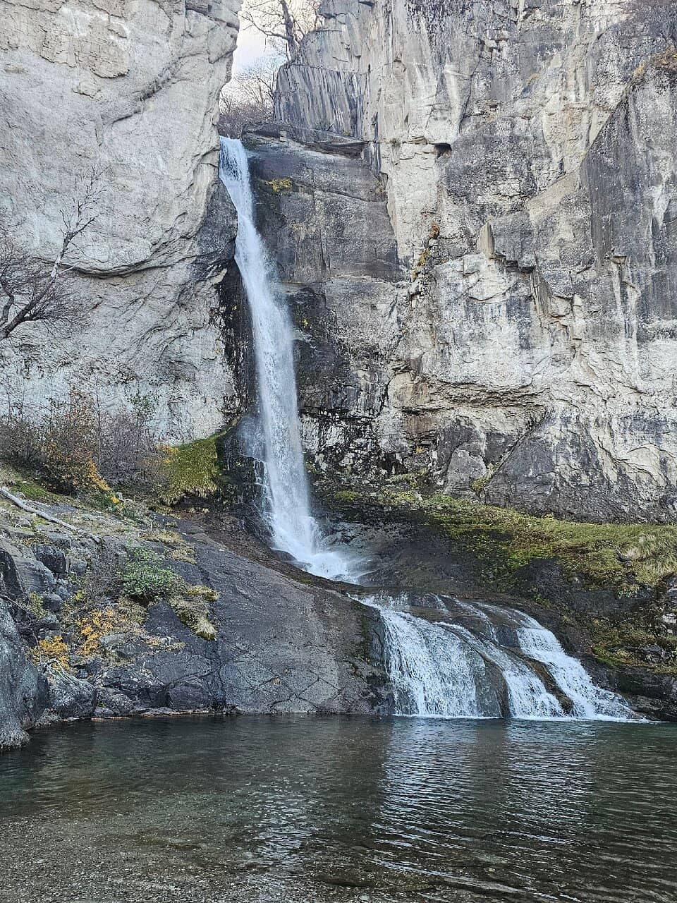 Scenic Woodland Trek