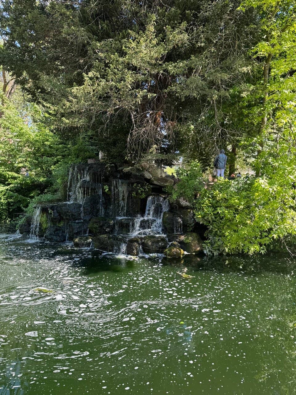 Duck Pond & Waterfall