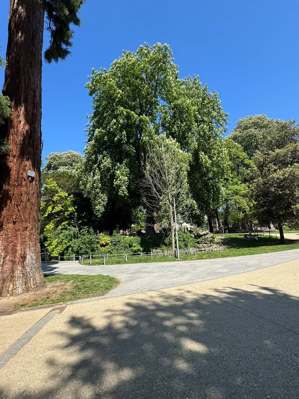 Vertical photo