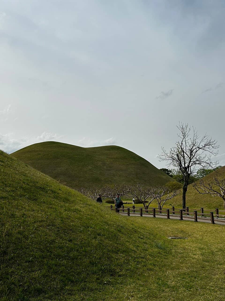 Daereungwon Tomb Complex