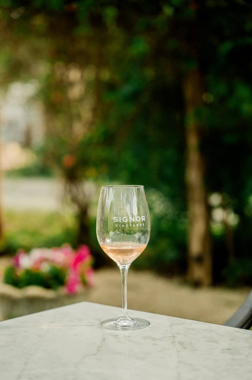 The Vineyard Grounds