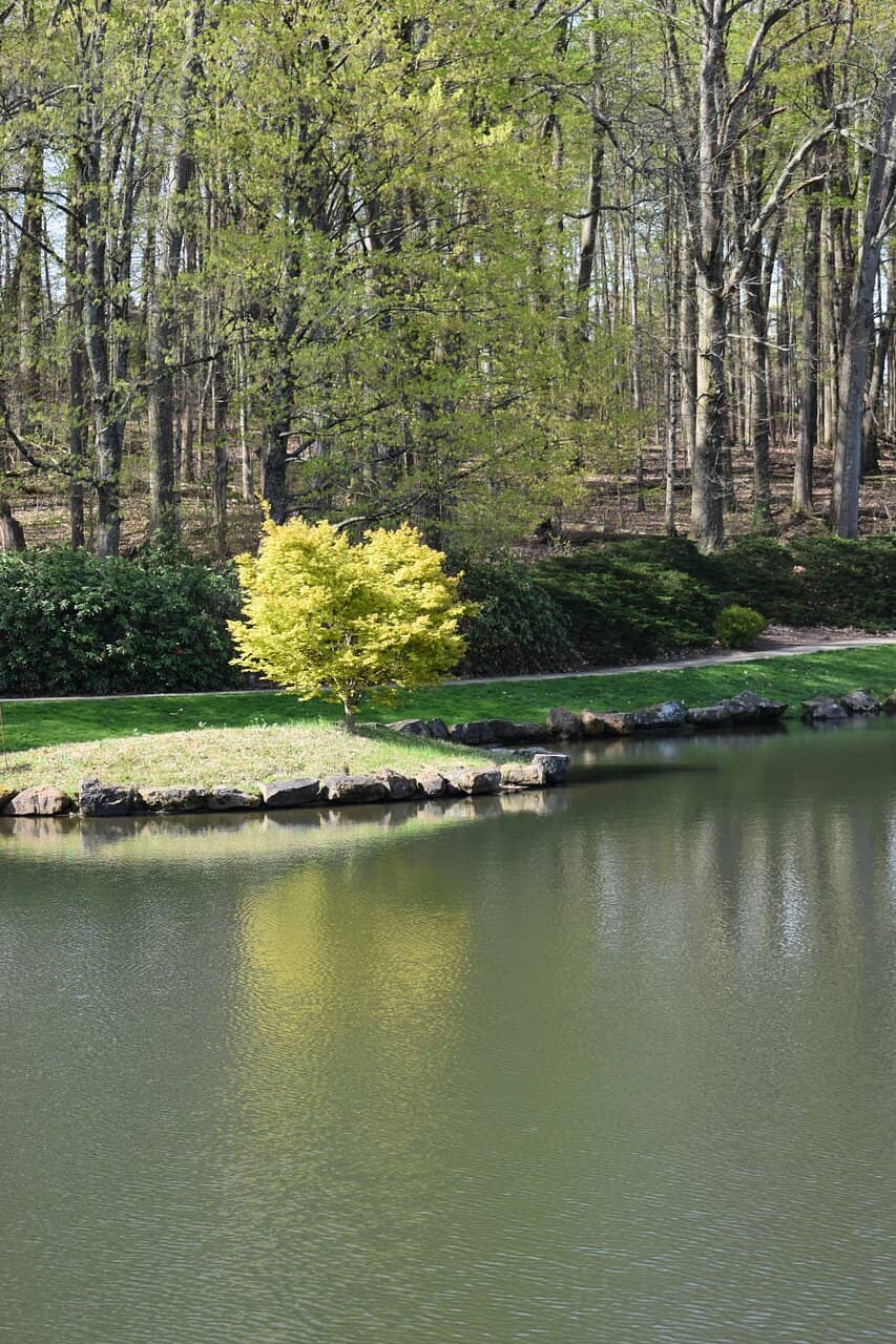 Japanese Garden
