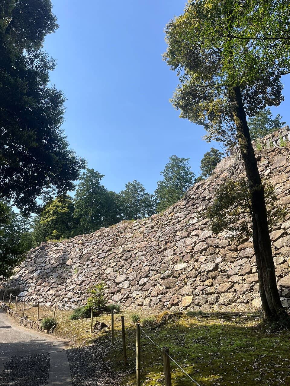 Panoramic Kanto Plain View