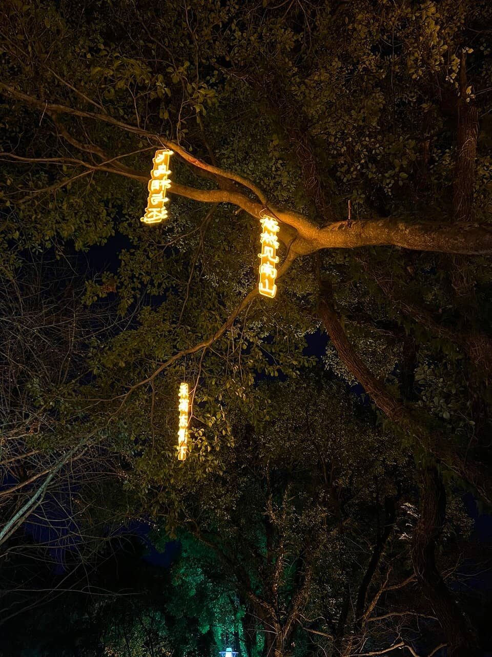 Sun Pagoda's Golden Glow