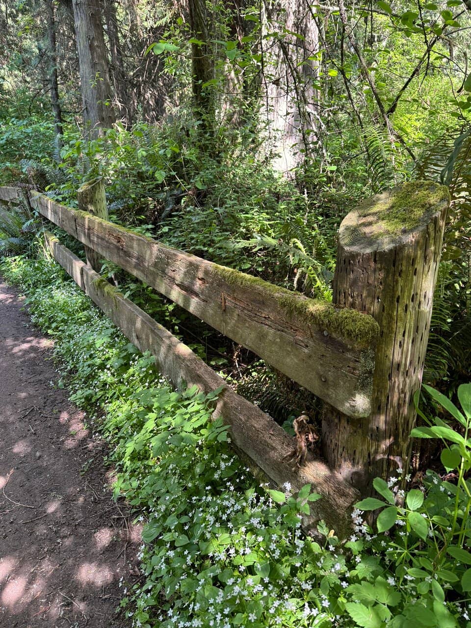 Dungeness Spit Trail