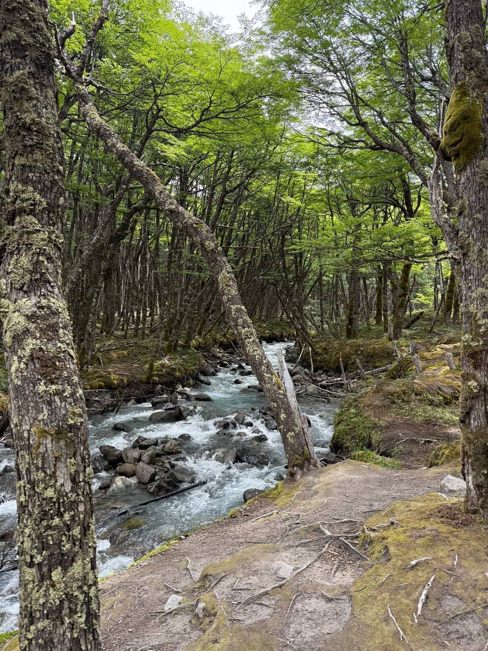 Rope-Assisted Ascent