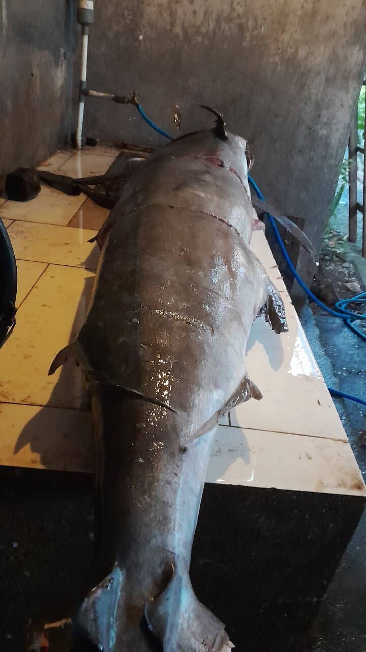 Authentic Balinese Flavors