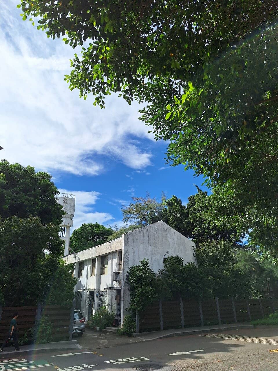 Cherry Blossom Garden