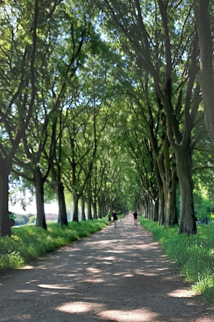 Shaded Embankments