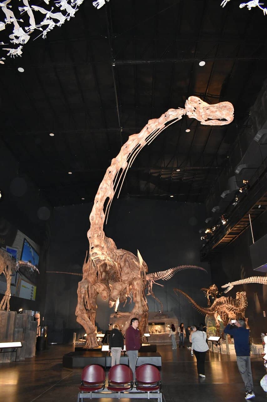 Interactive Exhibits
