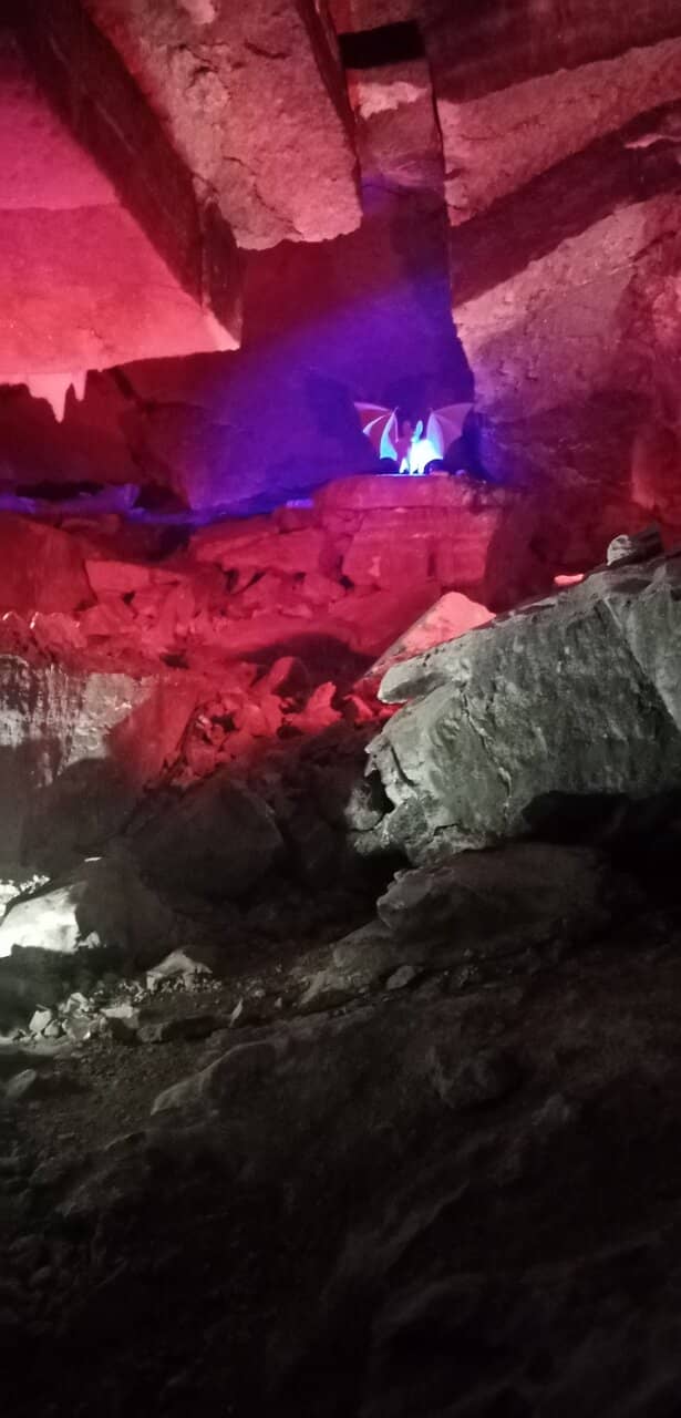 Laser Show Spectacle